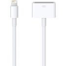 IPhone Lightning to 30Pin Adapter DockPort 8 inch for Apple